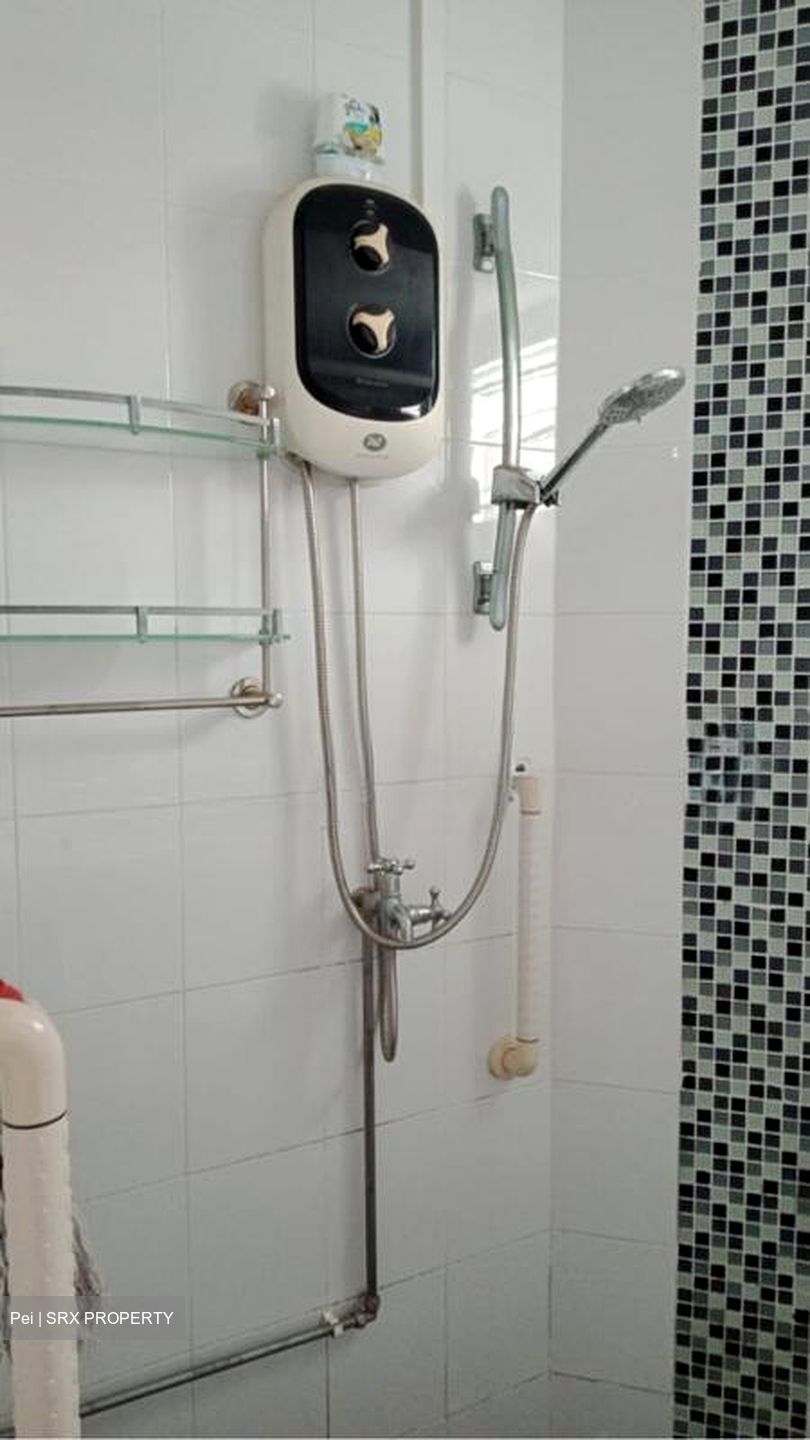 Blk 309 Clementi Meadows (Clementi), HDB 4 Rooms #607946071